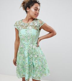 Короткое приталенное платье с вышивкой ASOS EDITION Petite-Зеленый
