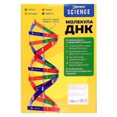 Набор ЭВРИКИ 9176778 Молекула ДНК, 1 эксперимент, разноцветный