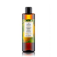 INNATURE Шампунь регулирующий для жирных и проблемных волос Natural Shampoo