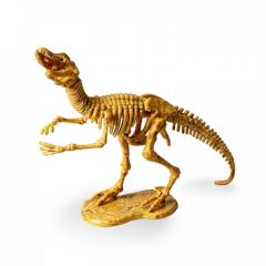 Bondibon Набор палеонтолога Динозавр Велоцираптор 3D скелет
